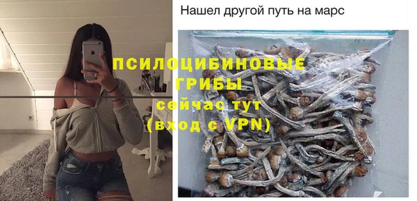 ПСИЛОЦИБИНОВЫЕ ГРИБЫ Одинцово