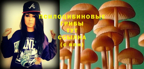СК Надым