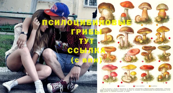 СК Надым
