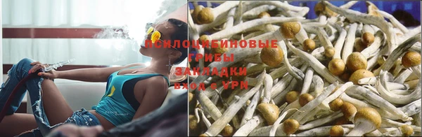 винт Наволоки