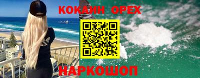 спиды Бердск