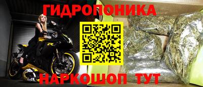спиды Бердск