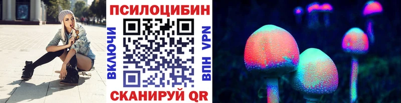 Псилоцибиновые грибы мицелий Грозный