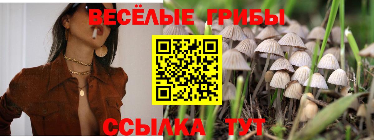 Псилоцибиновые грибы прущие грибы Грозный