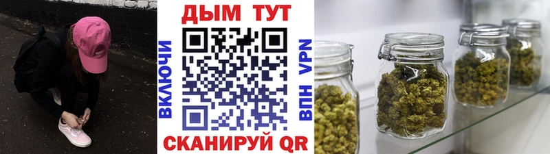 Конопля индика  площадка какой сайт  Грозный  где можно купить  